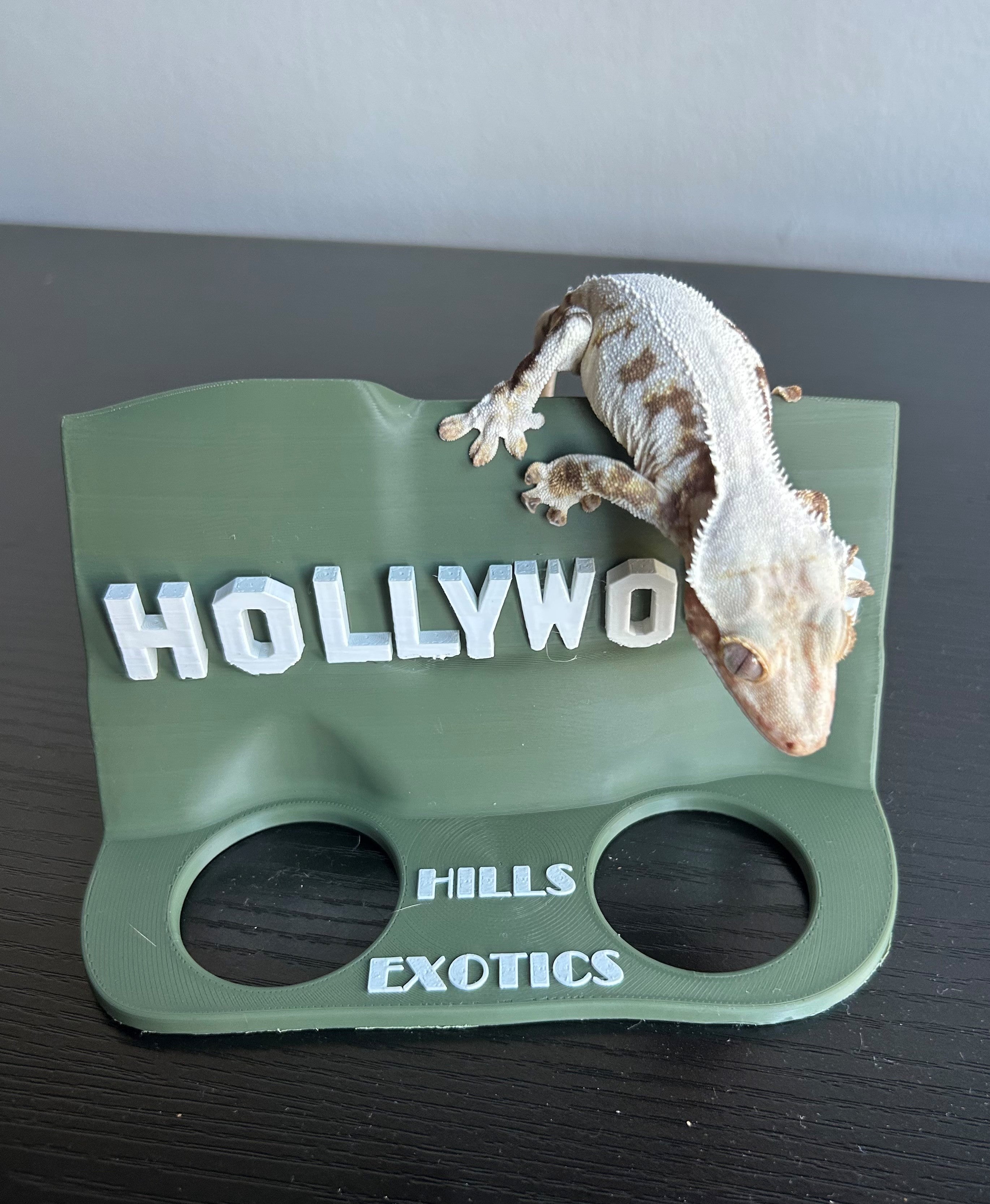 Hollywood Sign Ledge